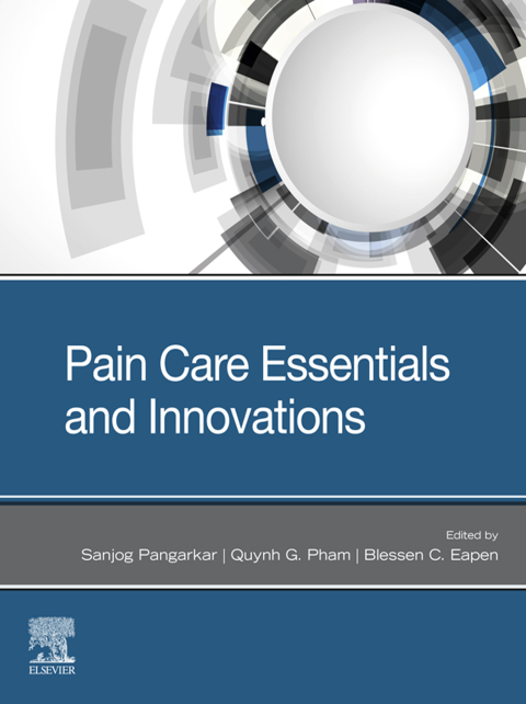 Cover image for book Pain Care Essentials and Innovations