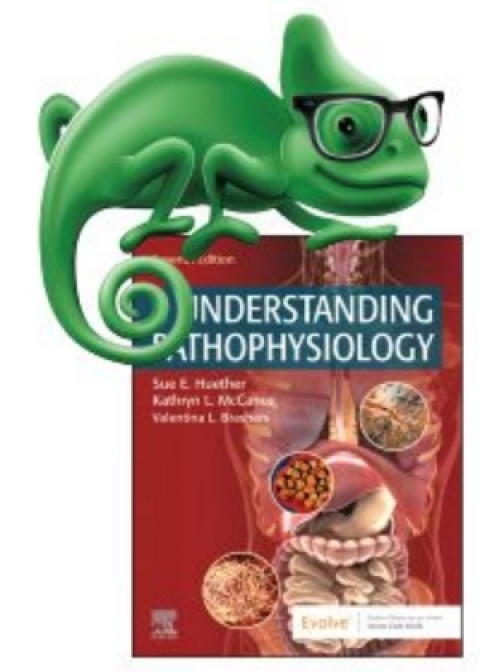 Cover image for book Elsevier Adaptive Quizzing for Understanding Pathophysiology