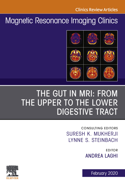 Cover image for book MR Imaging of the Bowel, An Issue of Magnetic Resonance Imaging Clinics of North America