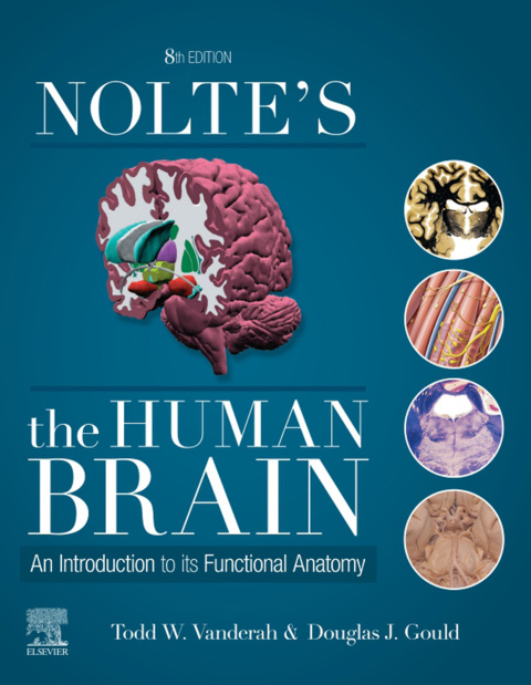 Cover image for book Nolte’s The Human Brain