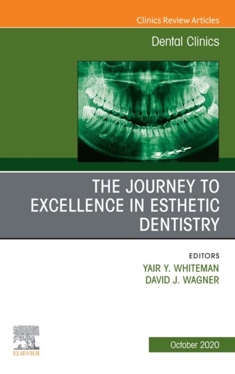 Cover image for book The Journey To Excellence in Esthetic Dentistry, An Issue of Dental Clinics of North America
