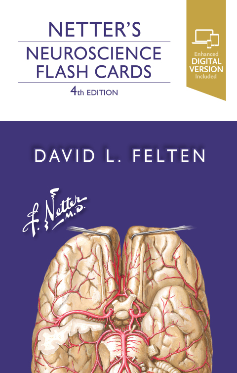 Cover image for book Netter's Neuroscience Flash Cards