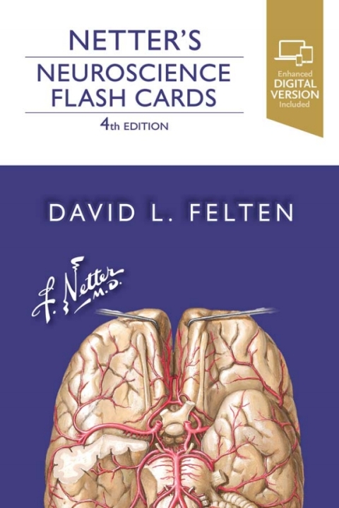 Cover image for book Netter's Neuroscience Flash Cards