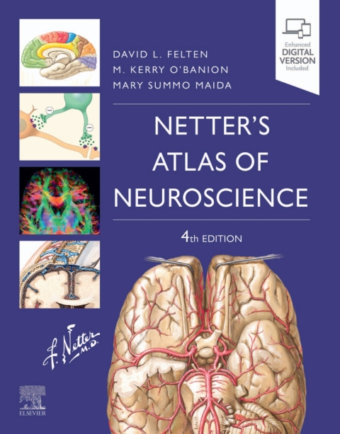 Cover image for book Netter's Atlas of Neuroscience