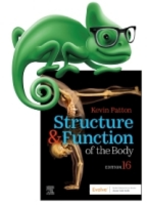 Cover image for book Elsevier Adaptive Quizzing for Structure & Function of the Body