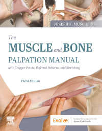 Titelbild: The Muscle and Bone Palpation Manual with Trigger Points, Referral Patterns and Stretching - E-Book 3rd edition 9780323761369