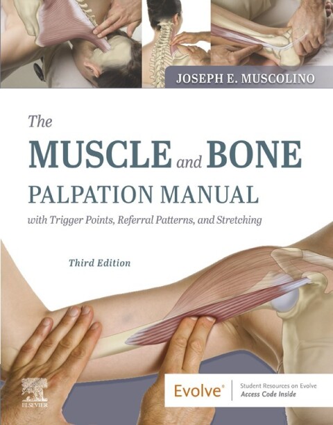Cover image for book The Muscle and Bone Palpation Manual with Trigger Points, Referral Patterns and Stretching