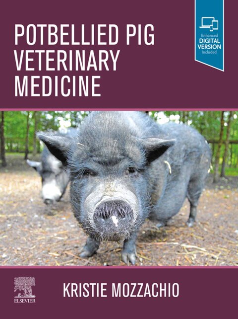 Cover image for book Potbellied Pig Veterinary Medicine