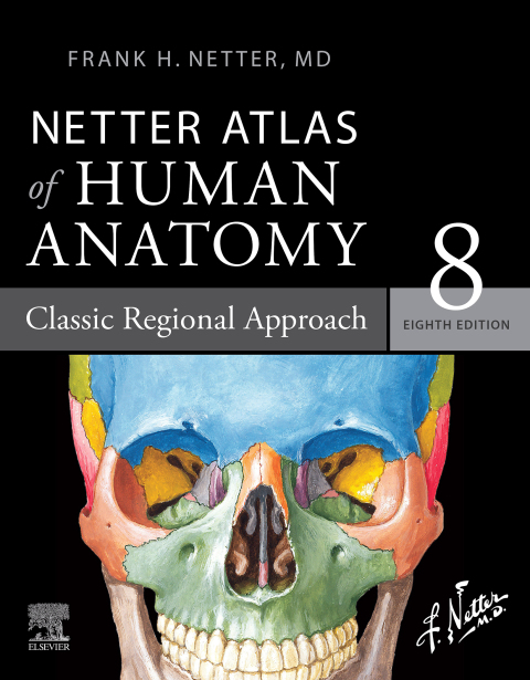 Cover image for book Netter Atlas of Human Anatomy: Classic Regional Approach