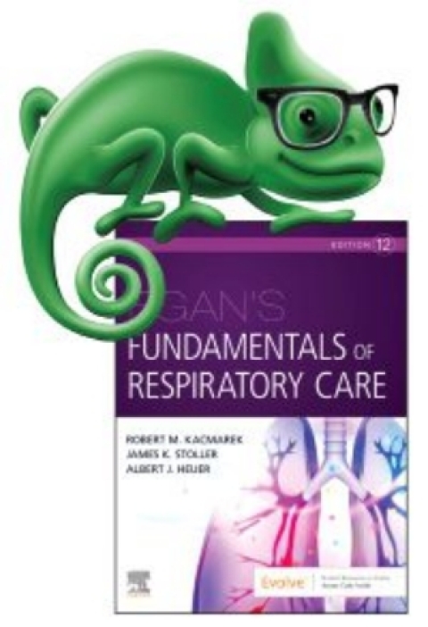 Cover image for book Elsevier Adaptive Quizzing for Egan's Fundamentals of Respiratory Care