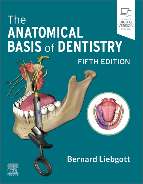 Cover image for book The Anatomical Basis of Dentistry