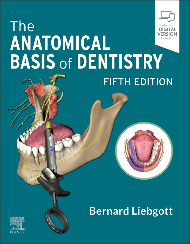 The Anatomical Basis of Dentistry