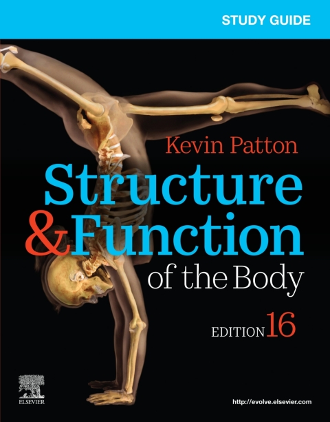 Cover image for book Study Guide for Structure & Function of the Body