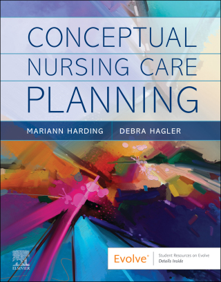 Conceptual Nursing Care Planning