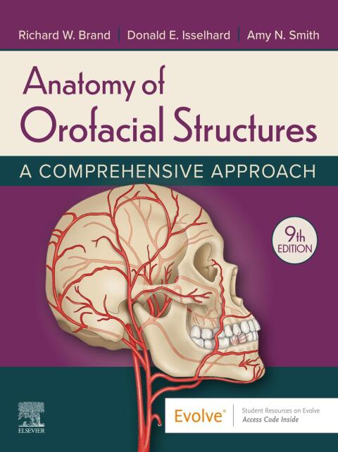 Cover image for book Anatomy of Orofacial Structures