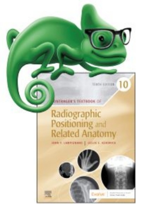 Cover image for book Elsevier Adaptive Quizzing for Bontrager's Textbook of Radiographic Positioning and Related Anatomy