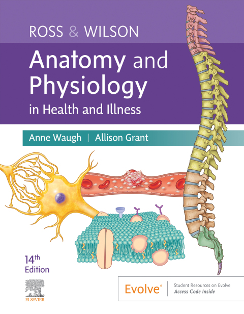 Cover image for book Ross & Wilson Anatomy and Physiology in Health and Illness