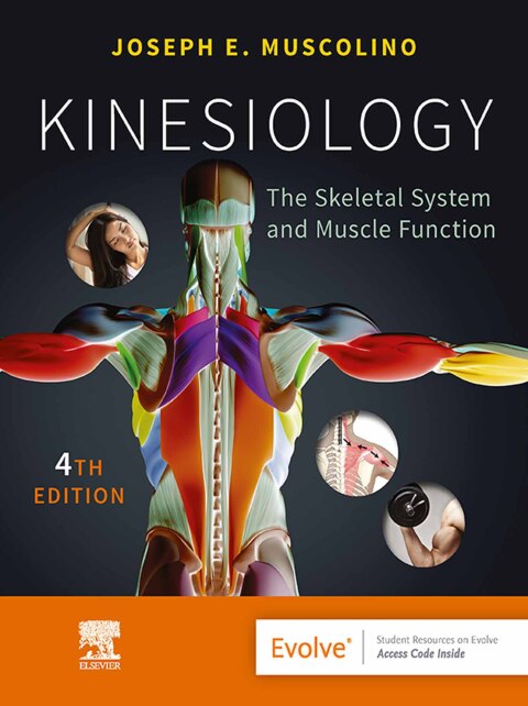 Cover image for book Kinesiology