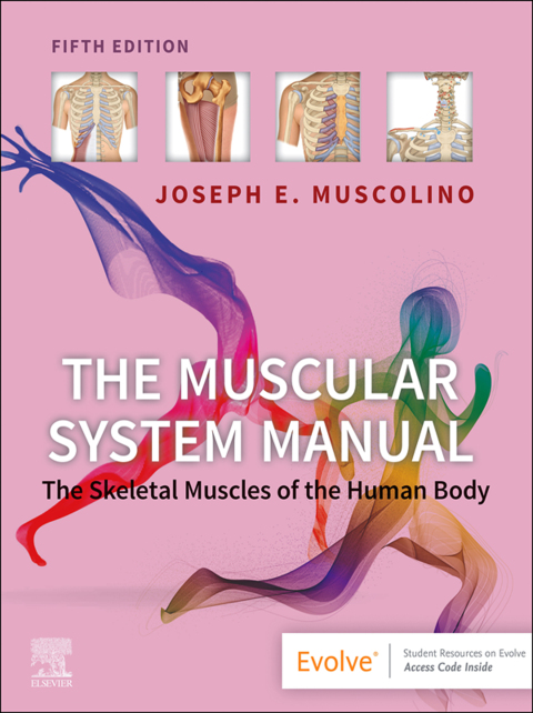 Cover image for book The Muscular System Manual