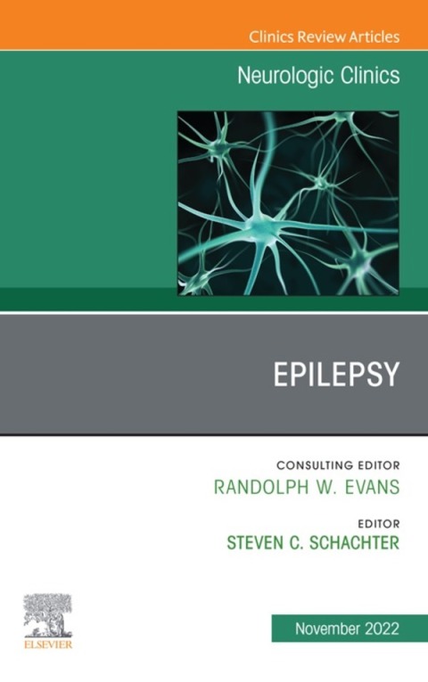 Cover image for book Epilepsy, An Issue of Neurologic Clinics