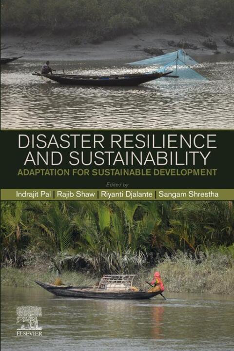 Cover image for book Disaster Resilience and Sustainability