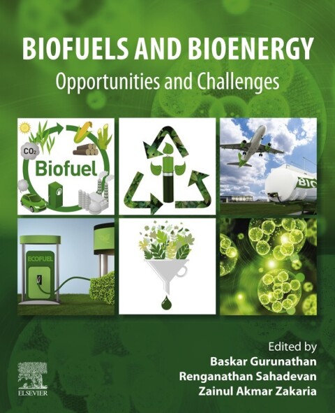 Cover image for book Biofuels and Bioenergy