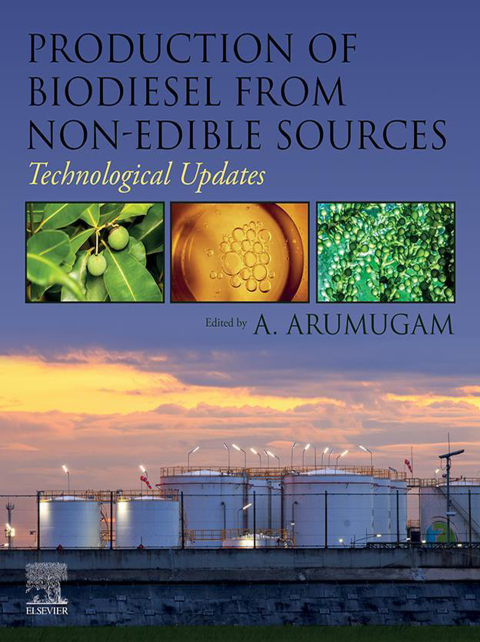 Cover image for book Production of Biodiesel from Non-Edible Sources