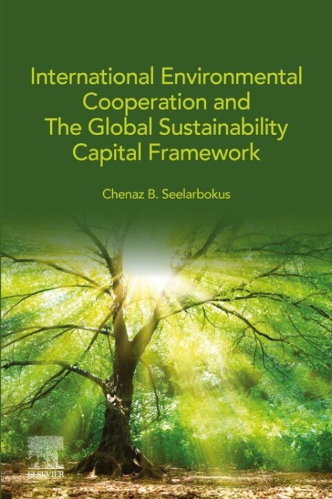 Cover image for book International Environmental Cooperation and The Global Sustainability Capital Framework