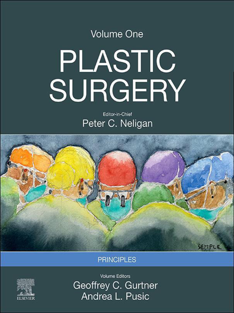 Cover image for book Plastic Surgery