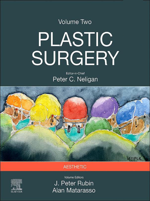 Cover image for book Plastic Surgery