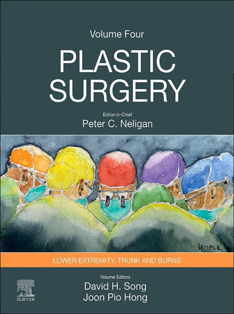 Cover image for book Plastic Surgery
