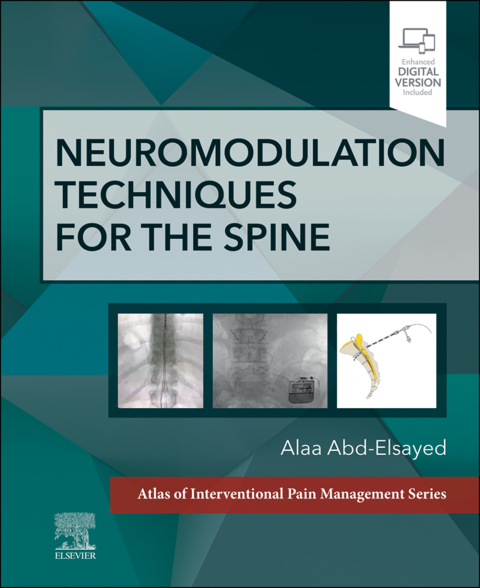 Cover image for book Neuromodulation Techniques for the Spine