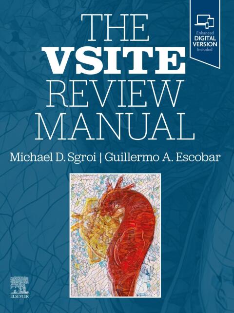 Cover image for book The VSITE Review Manual