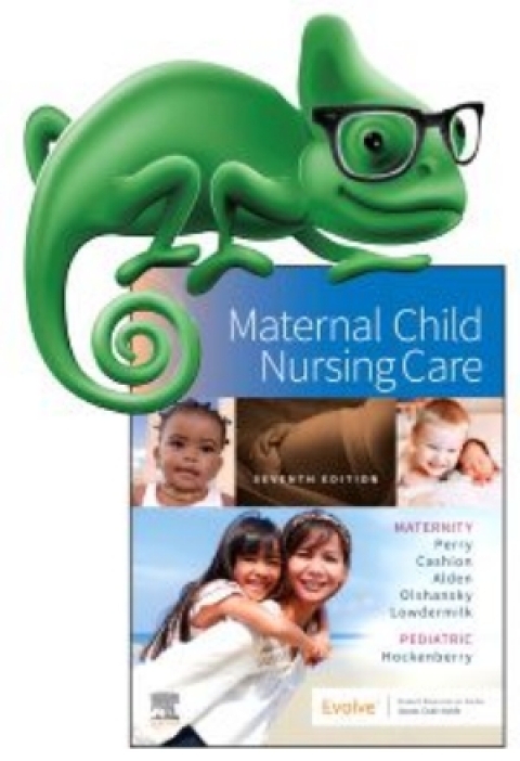 Cover image for book Elsevier Adaptive Quizzing for Perry Maternal Child Nursing Care