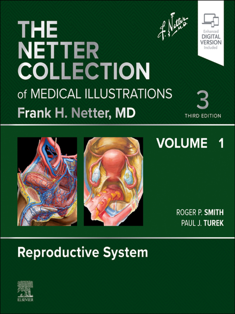 Cover image for book Netter Collection of Medical Illustrations: Reproductive System, Volume 1