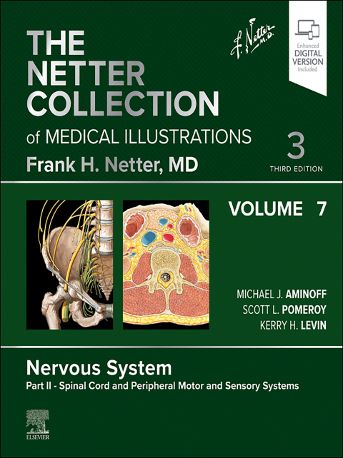 Cover image for book The Netter Collection of Medical Illustrations: Nervous System, Volume 7, Part II - Spinal Cord and Peripheral Motor and Sensory Systems