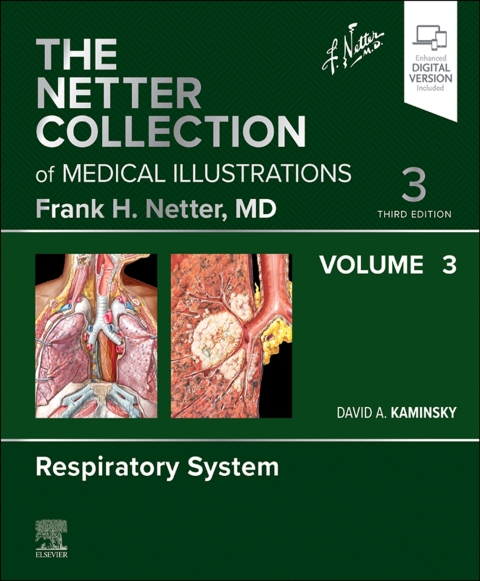 Cover image for book The Netter Collection of Medical Illustrations: Respiratory System, Volume 3