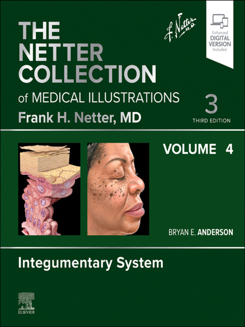 Cover image for book The Netter Collection of Medical Illustrations: Integumentary System, Volume 4