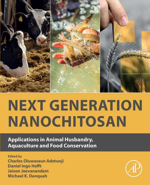Cover image for book Next Generation Nanochitosan