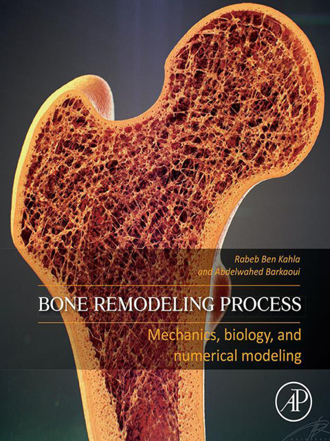 Cover image for book Bone Remodeling Process