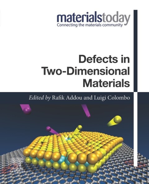 Cover image for book Defects in Two-Dimensional Materials