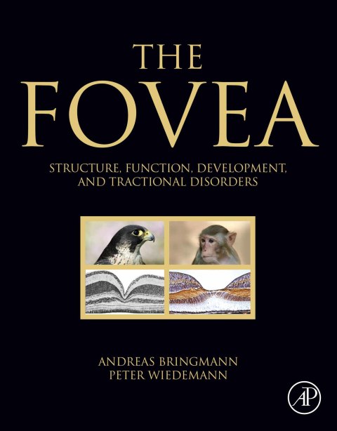 Cover image for book The Fovea