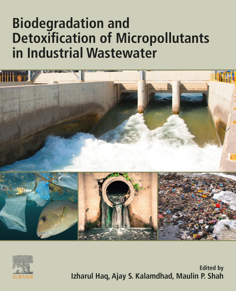Cover image for book Biodegradation and Detoxification of Micropollutants in Industrial Wastewater