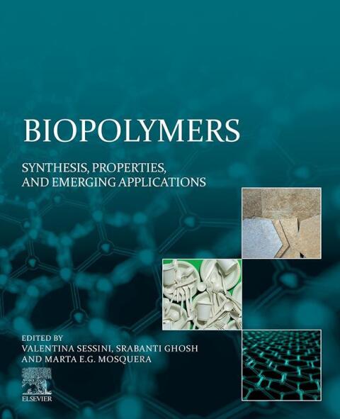 Cover image for book Biopolymers