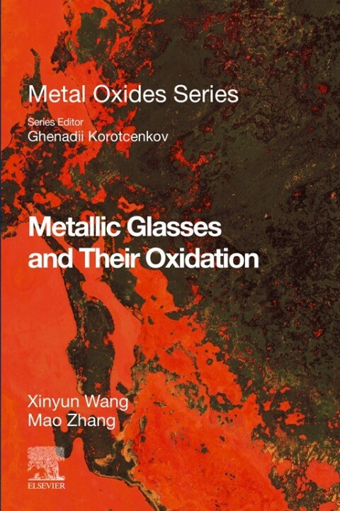 Cover image for book Metallic Glasses and Their Oxidation