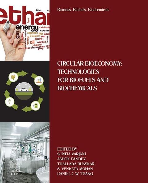 Cover image for book Biomass, Biofuels, Biochemicals