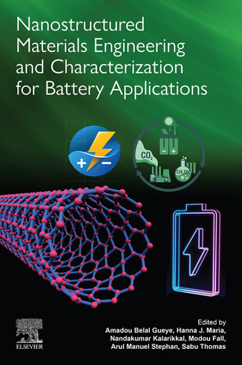Nanostructured Materials Engineering and Characterization for Battery Applications 