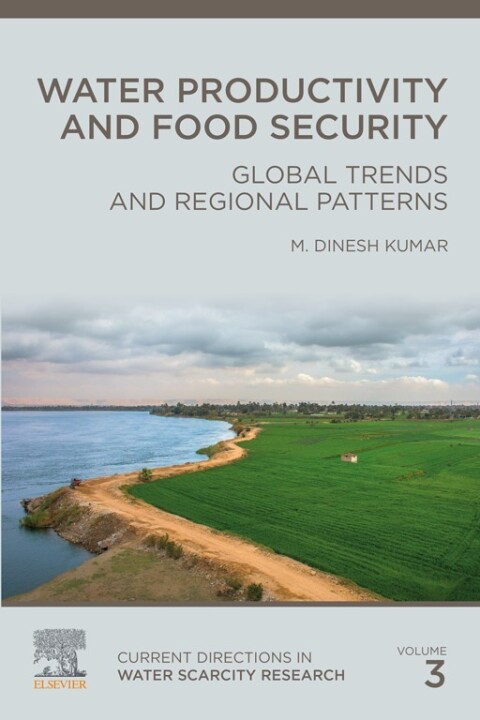 Cover image for book Water Productivity and Food Security