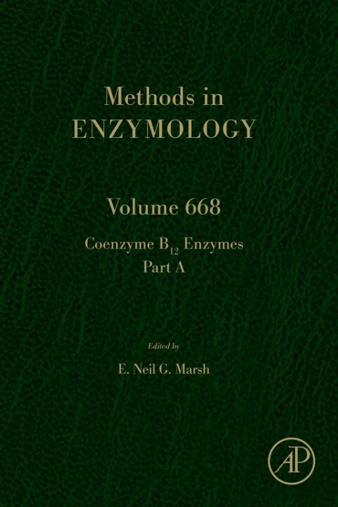 Cover image for book Coenzyme B12 Enzymes Part A
