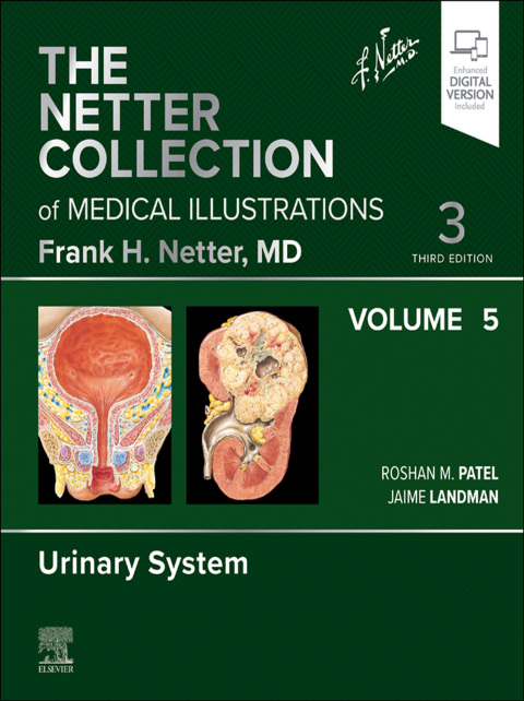 Cover image for book The Netter Collection of Medical Illustrations: Urinary System, Volume 5